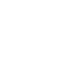Commercial and Industrial Firm